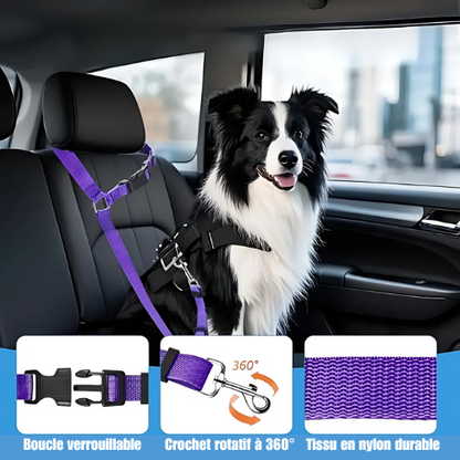 CeintureSécuriPet™ | Sûreté pour Chiens