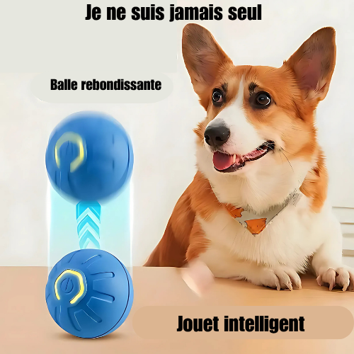 BalleMaline™ |  Balle ludique
