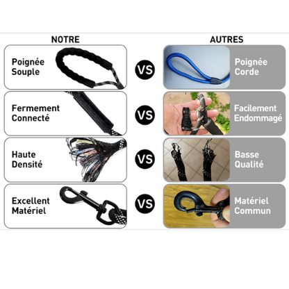 LaisseForce™ | Sécurité & Confort