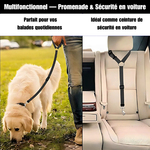 CeintureSécuriPet™  Sûreté pour Chiens