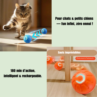 BalleMaline™ |  Balle ludique