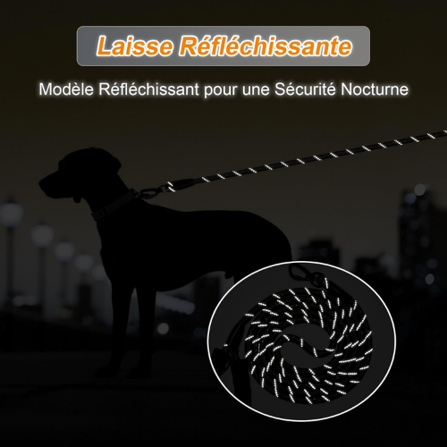 LaisseForce™ | Sécurité & Confort