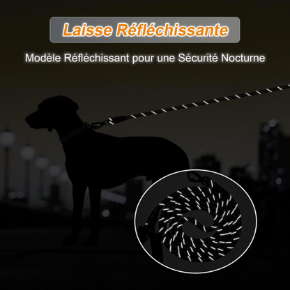 LaisseForce™ | Sécurité & Confort