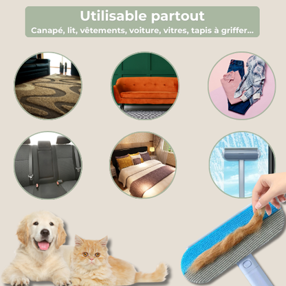 PoilZéro™ | Brosse Magique