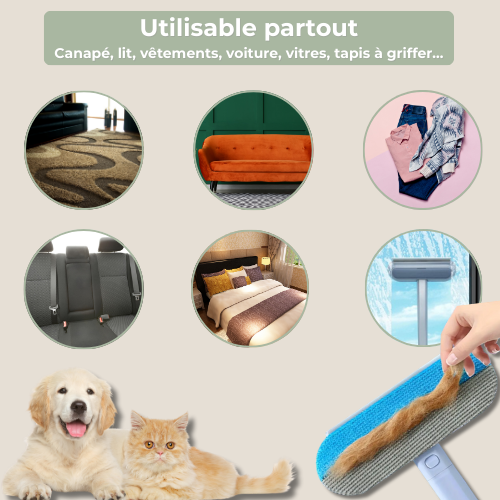 PoilZéro™ | Brosse magique